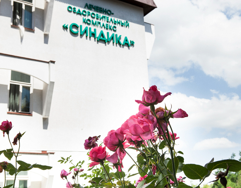 Санаторий «Синдика» г. Нальчик. Территория